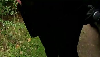 La seducente TS Jesse Flores viene una bella milf scopata dall'idraulico